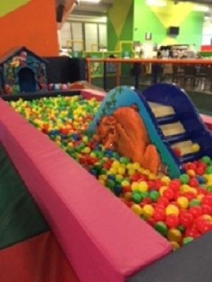 KidZone Wicklow Town - Foto 1