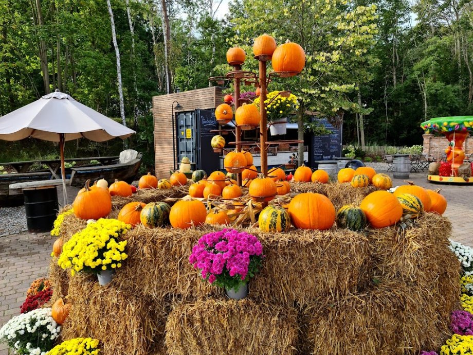 Karls Erlebnis-Dorf - Zirkow - Foto 10