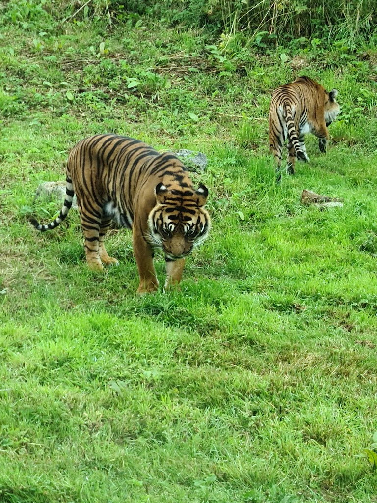 Flamingo Land Resort - Foto 5