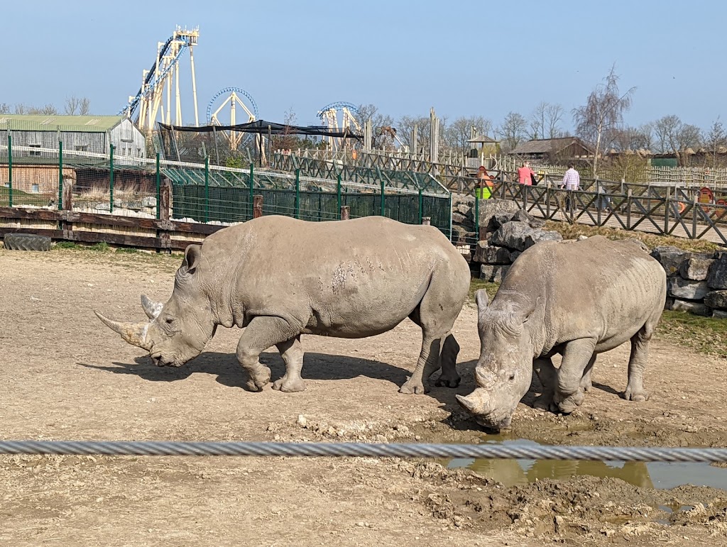 Flamingo Land Resort - Foto 1