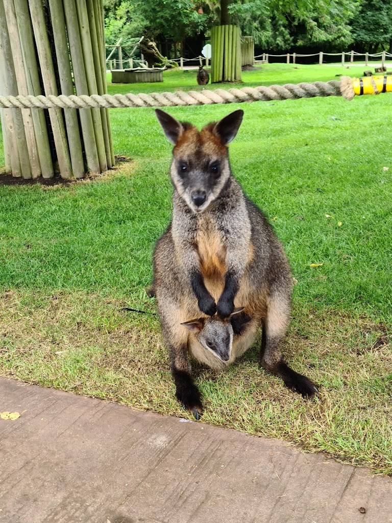 Flamingo Land Resort 8