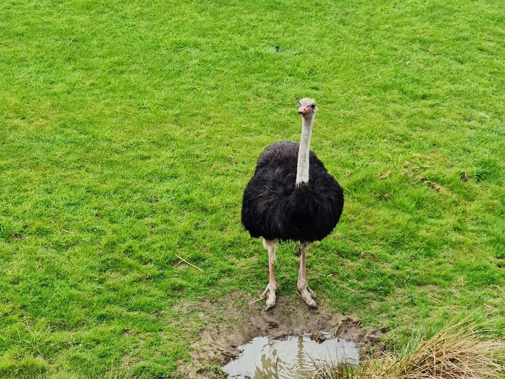 Flamingo Land Resort - Foto 1