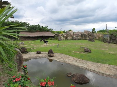 Bioparque Ukumarí