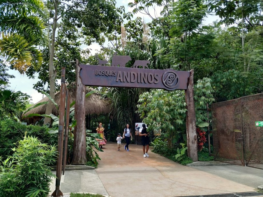 Bioparque Ukumarí - Foto 2