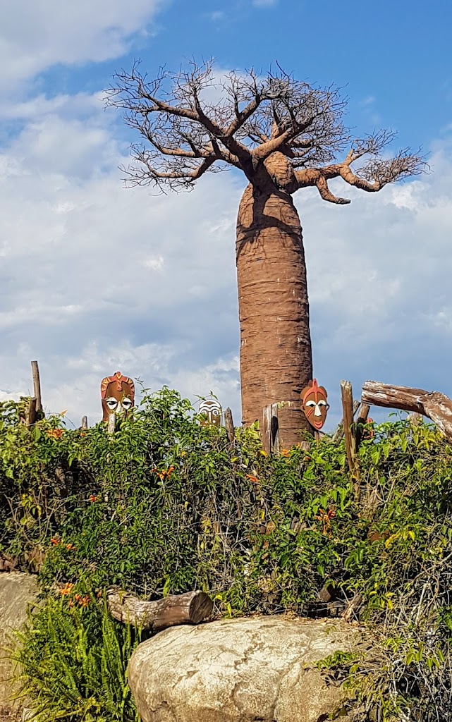 Bioparque Ukumarí - Foto 7