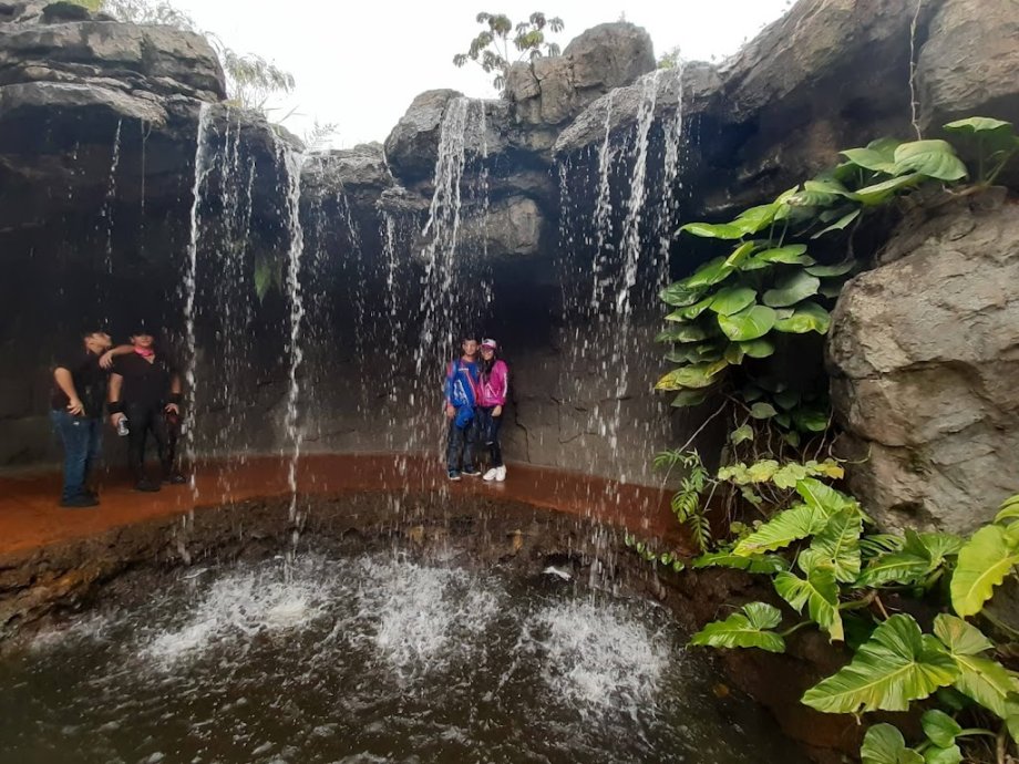 Bioparque Ukumarí - Foto 10