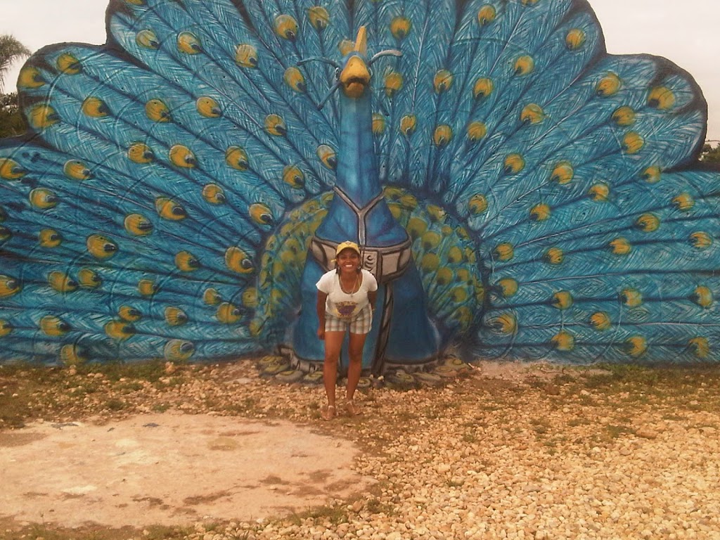 La Ciudad de Yeiber y Sebastian, C.A / Ciudad Picapiedra Tinaquillo - Foto 1