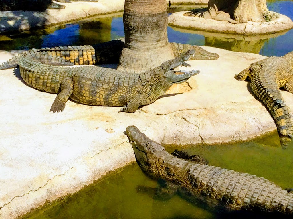 Aqualand Torremolinos 3