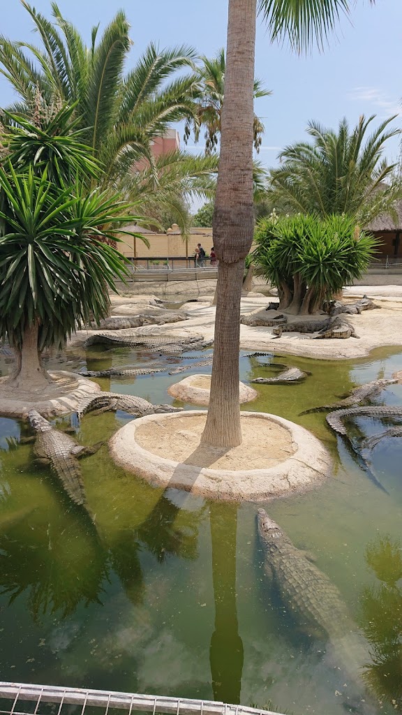 Aqualand Torremolinos - Foto 1