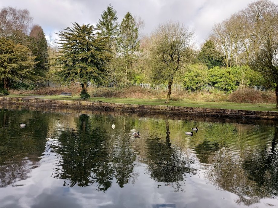 Witton Country Park - Foto 4