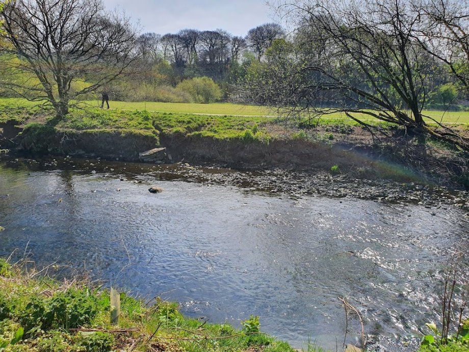 Witton Country Park - Foto 6