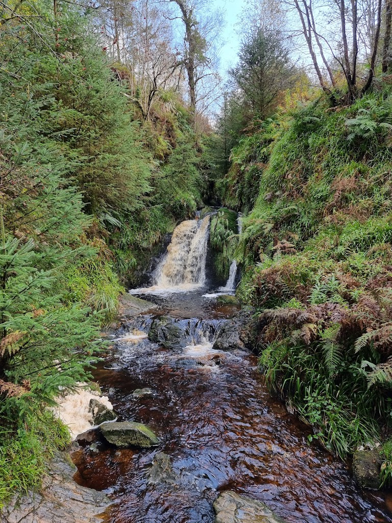 Gortin Glen Forest Park - Foto 2