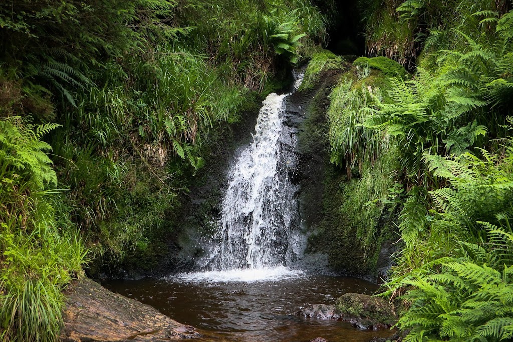 Gortin Glen Forest Park - Foto 1