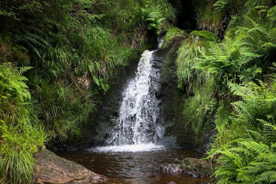 Gortin Glen Forest Park - Foto 3