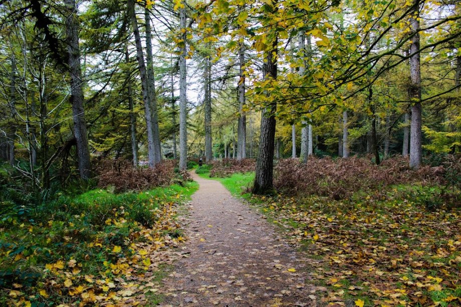 Gortin Glen Forest Park - Foto 5