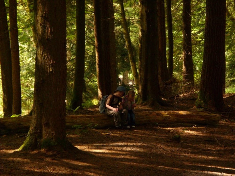 Gortin Glen Forest Park - Foto 7