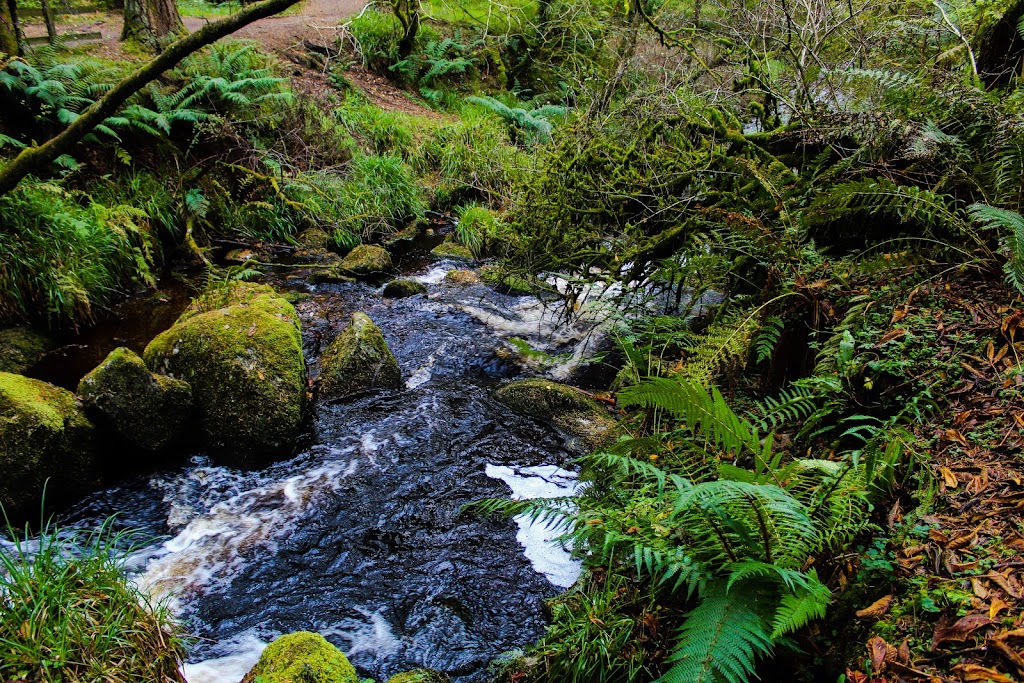 Gortin Glen Forest Park - Foto 1