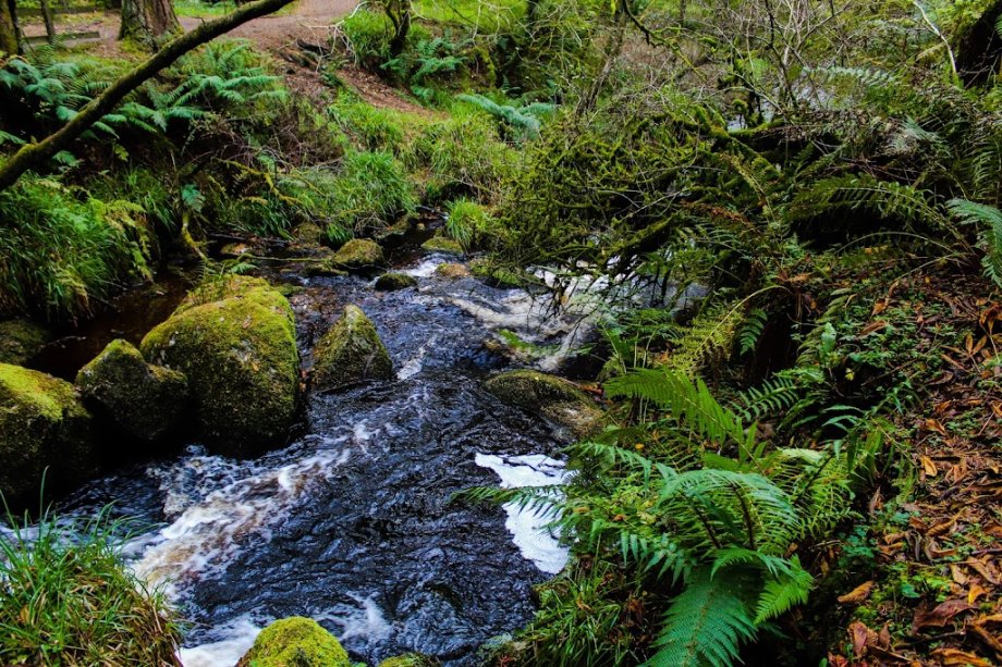 Gortin Glen Forest Park - Foto 8