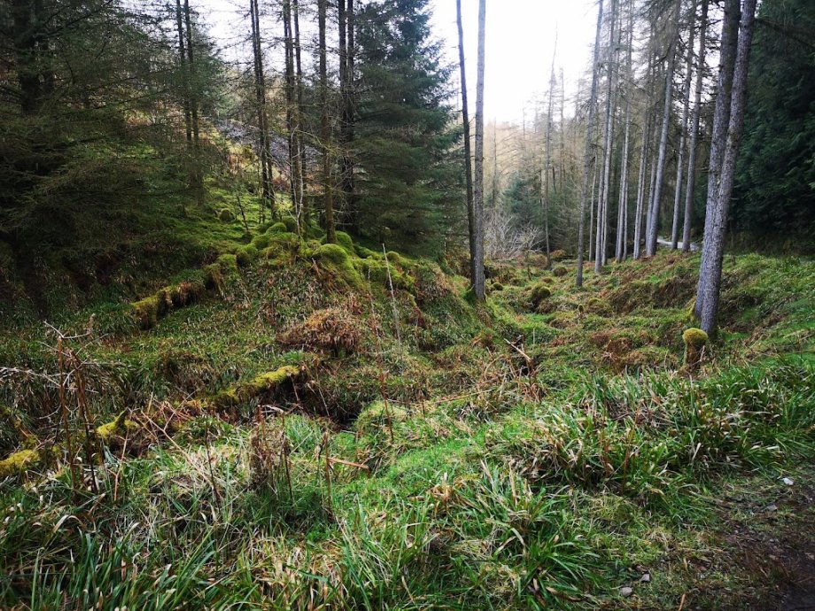 Gortin Glen Forest Park - Foto 10