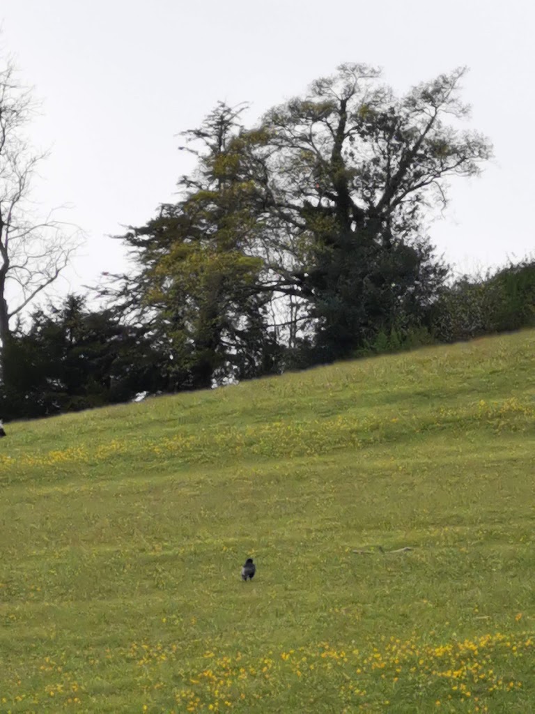 Whyteleafe Recreation Ground - Foto 1