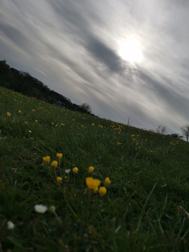 Whyteleafe Recreation Ground - Foto 9