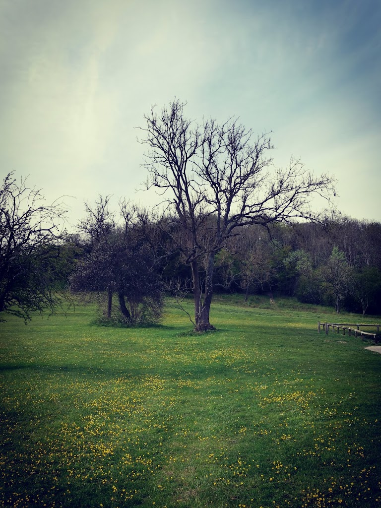 Whyteleafe Recreation Ground - Foto 10