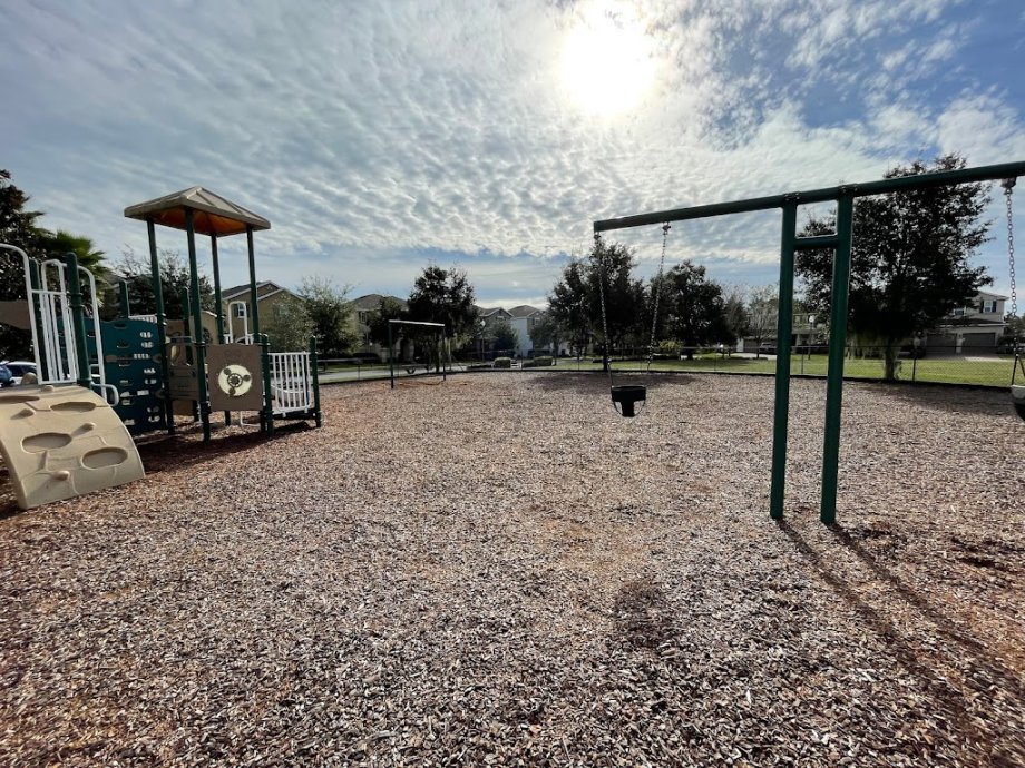 Wild Lime Playground - Foto 2