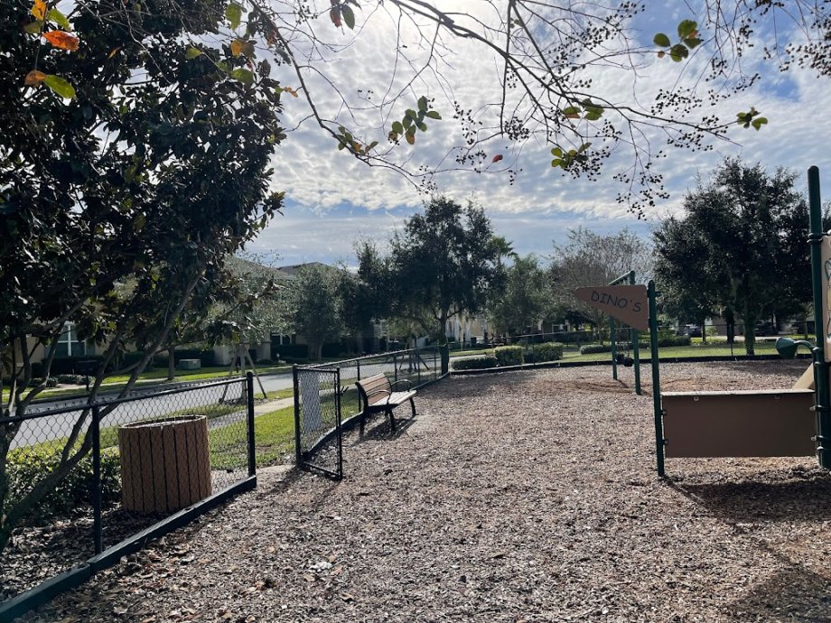 Wild Lime Playground - Foto 3