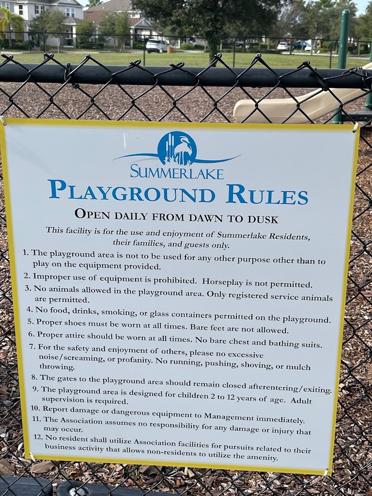 Wild Lime Playground - Foto 4