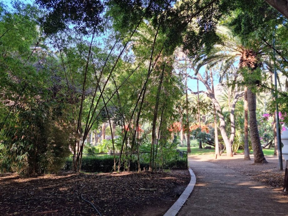 Parque García Sanabria - Foto 17