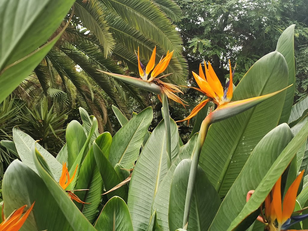 Parque García Sanabria - Foto 1