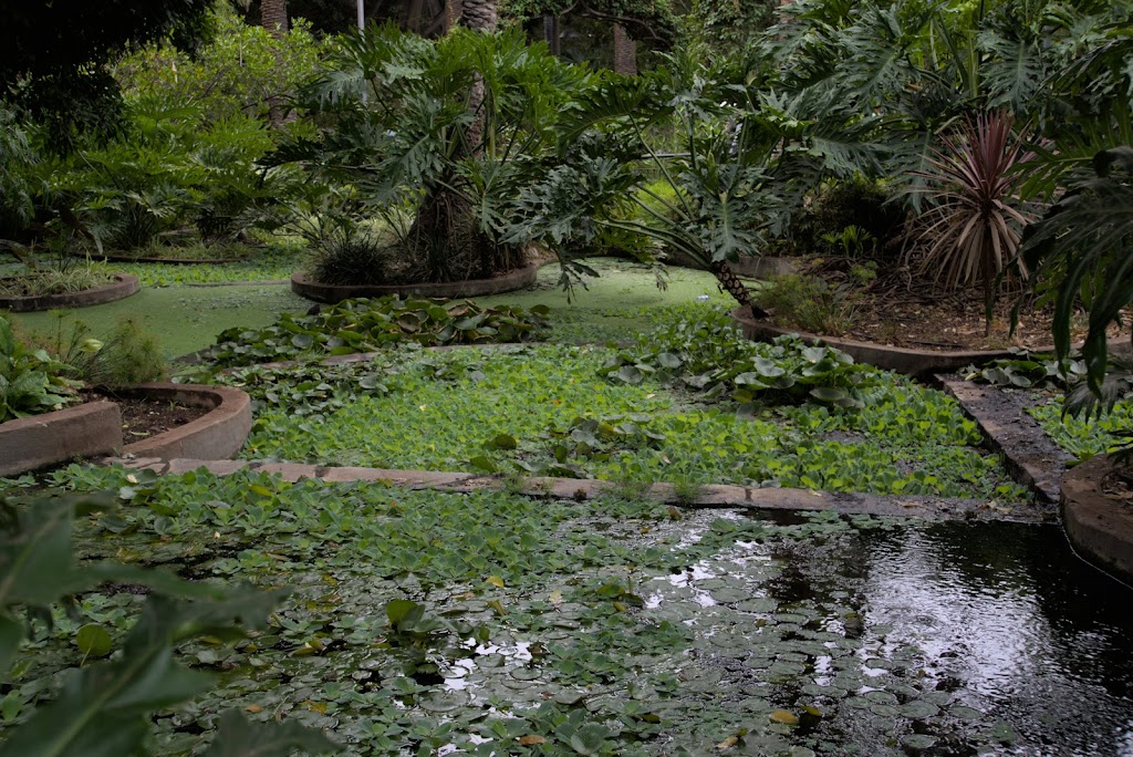 Parque García Sanabria - Foto 1