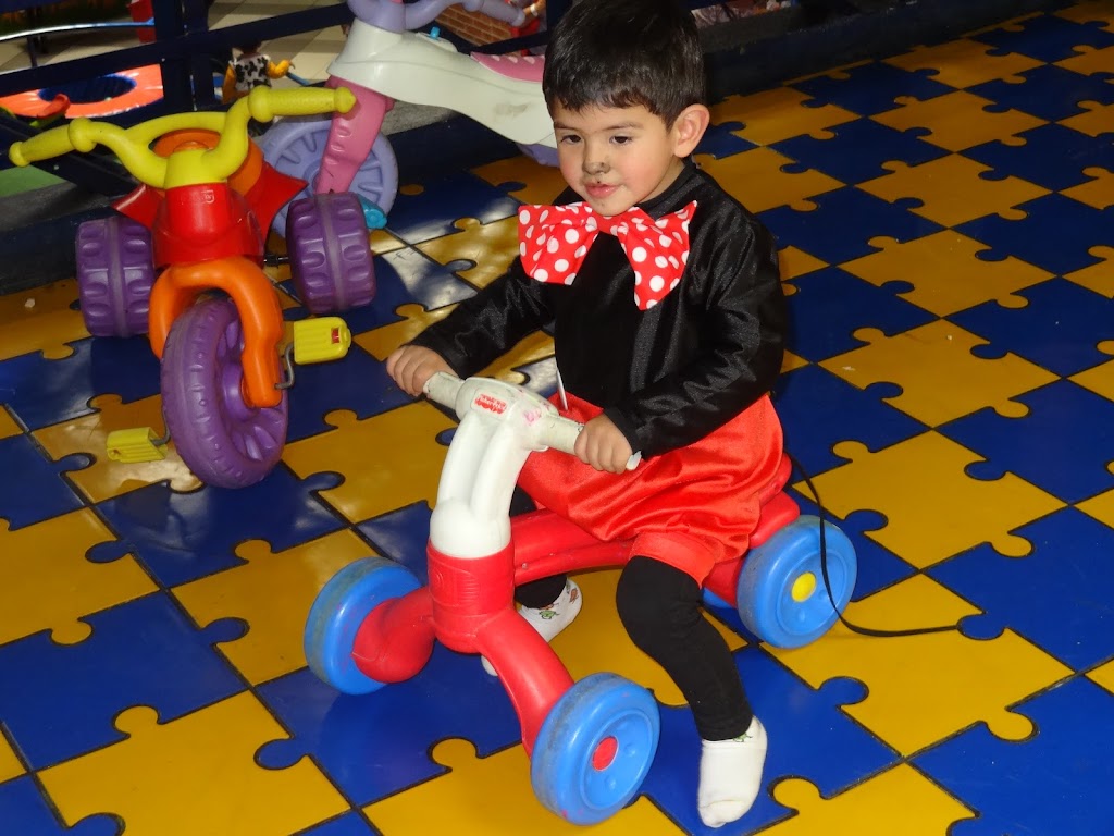 Parque de Aventuras en Familia ShowPlace / Jardín Infantil Paco y Tuti - Foto 1