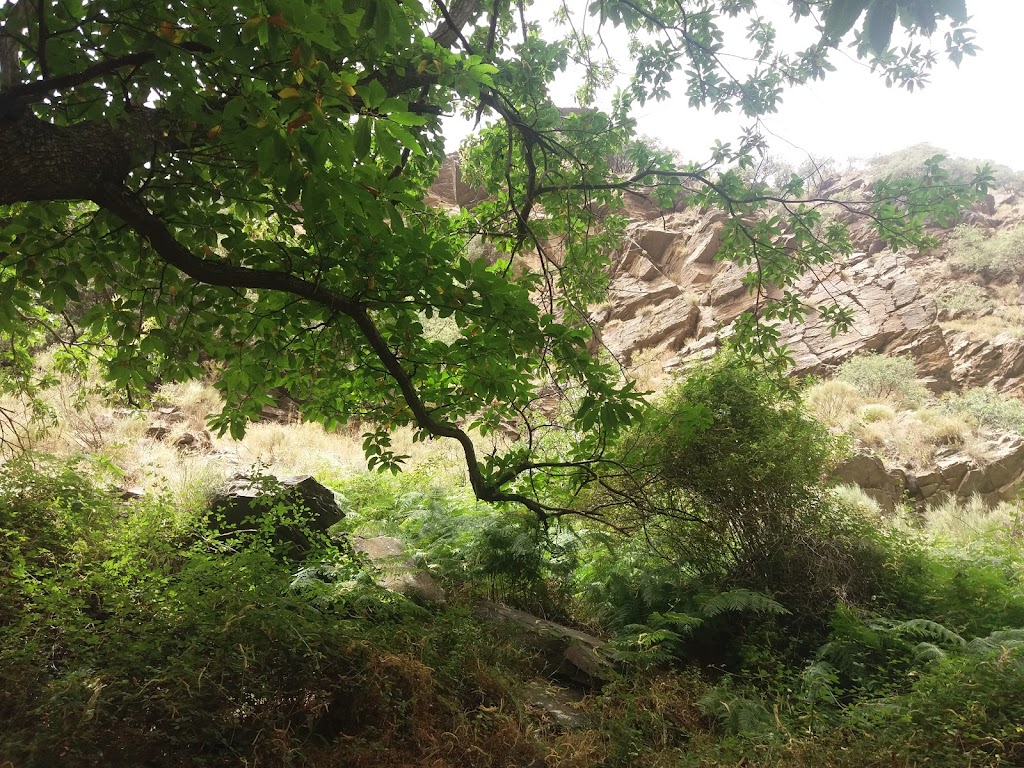 ARU Talama B Natural - Foto 1