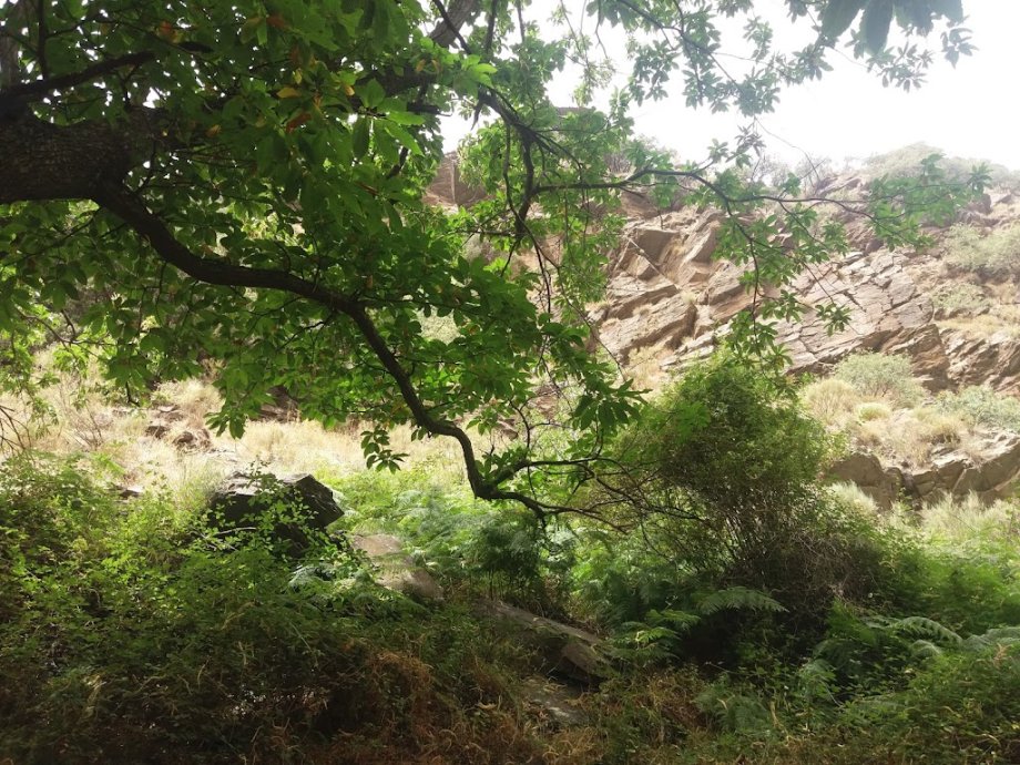 ARU Talama B Natural - Foto 5