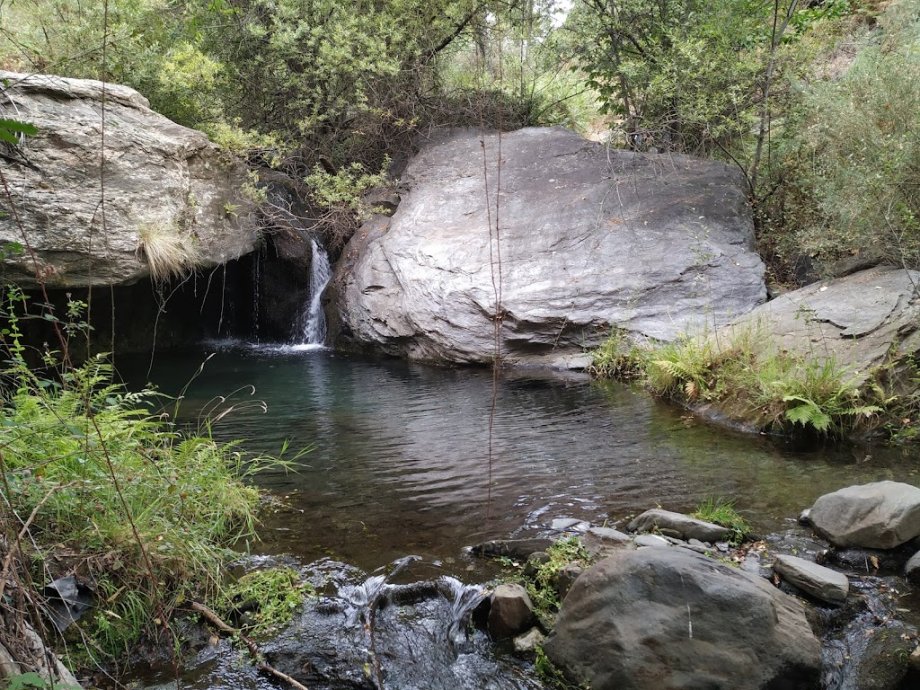 ARU Talama B Natural - Foto 6