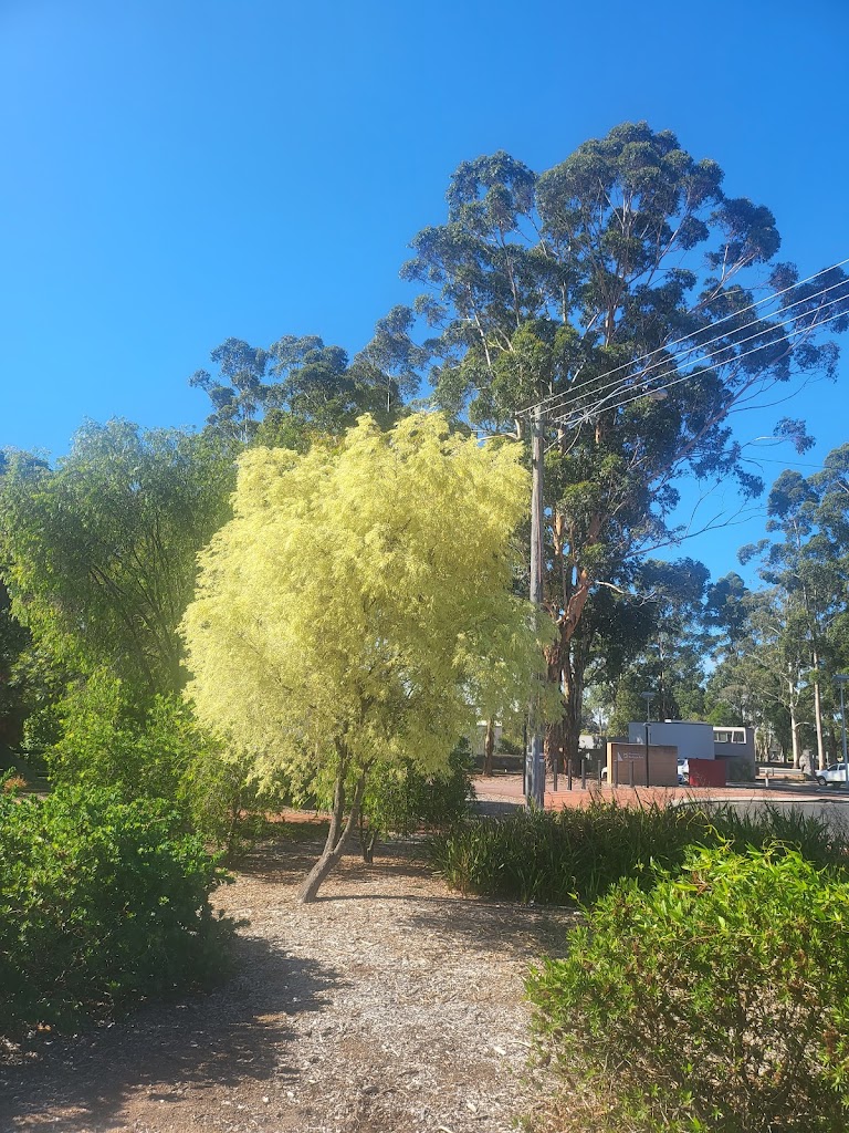 Manjimup Timber Park - Foto 8