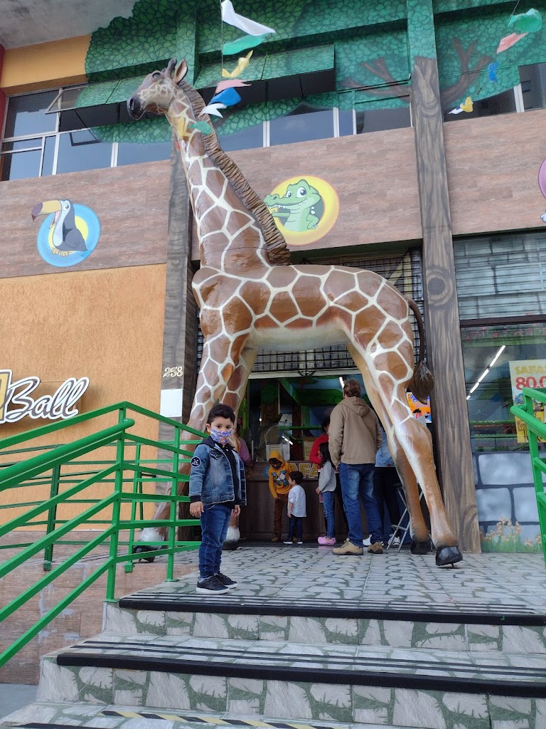 Safari Ball - Foto 3