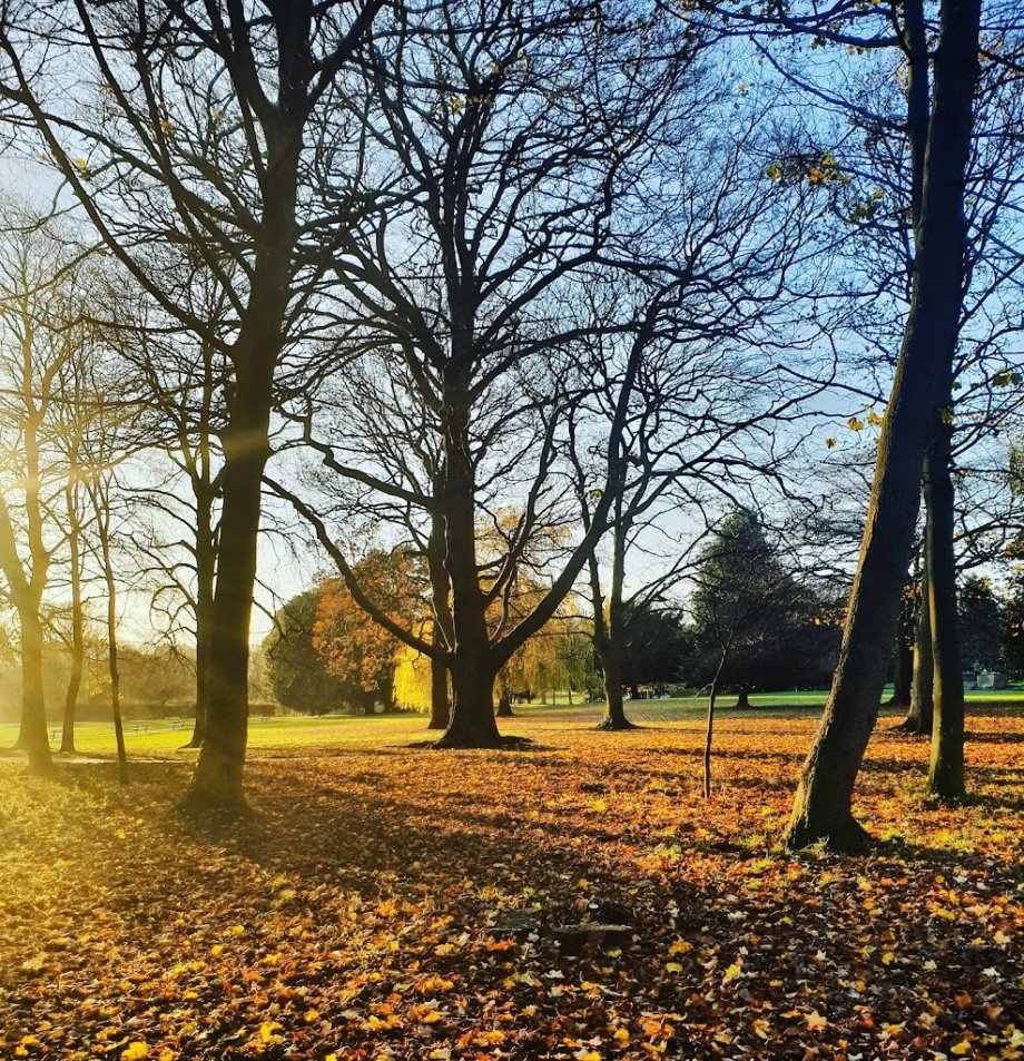 Horsforth Hall Park - Foto 7