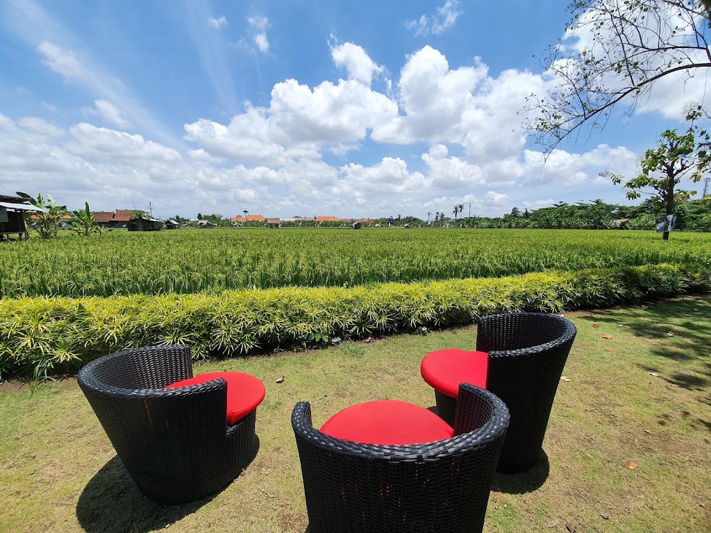 Monsieur Spoon Petitenget - Foto 1