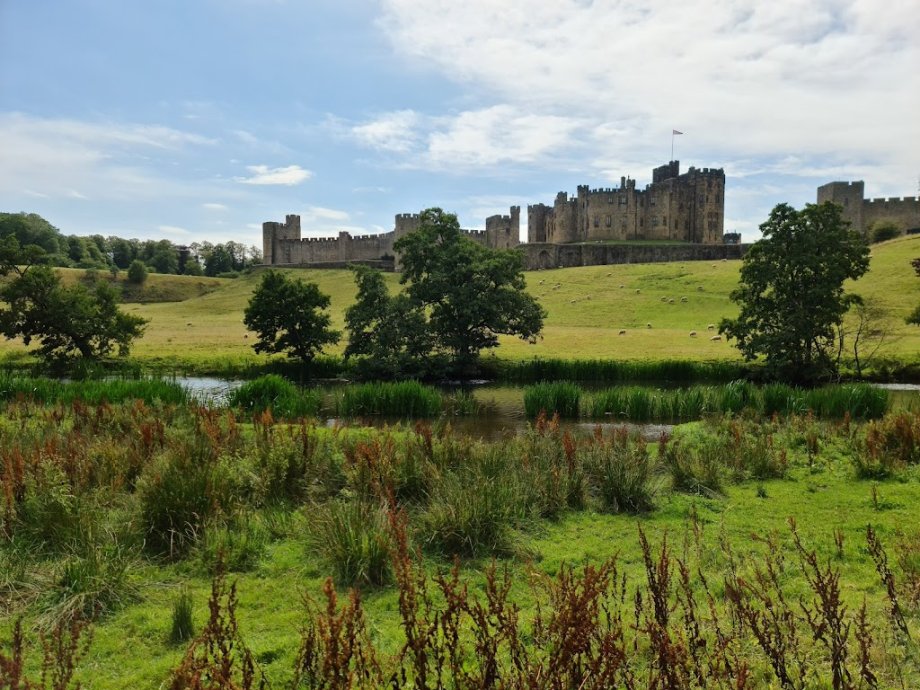 Castillo de Alnwick - Foto 2