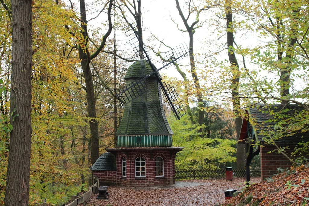 Fairytale Forest Altenberg - Foto 1