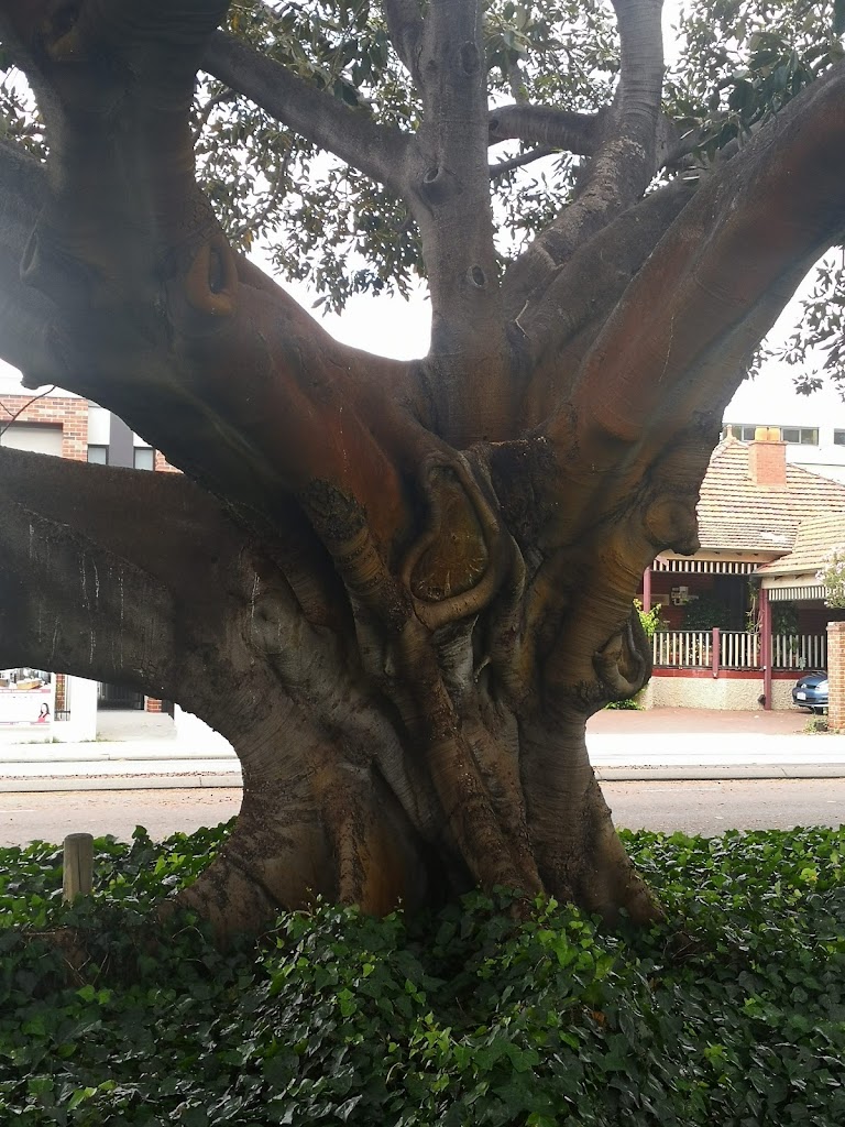 Beatty Park Leisure Centre - Foto 1