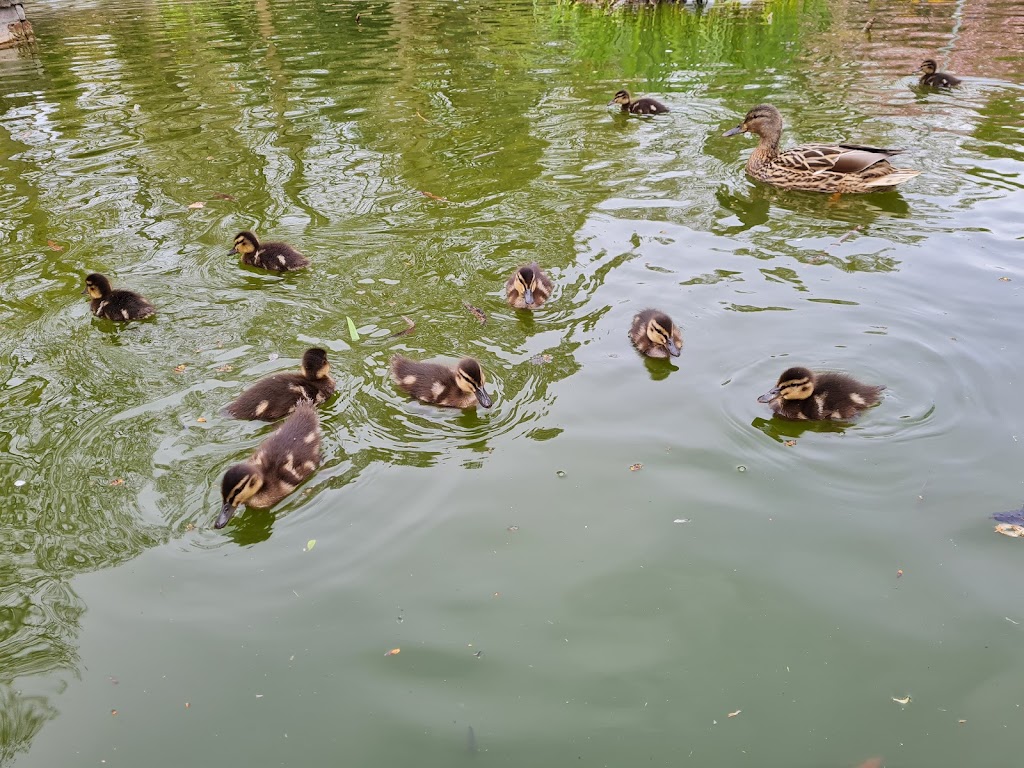 King George V playground - Foto 1