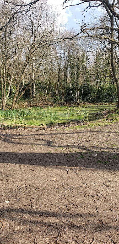 King George V playground - Foto 6