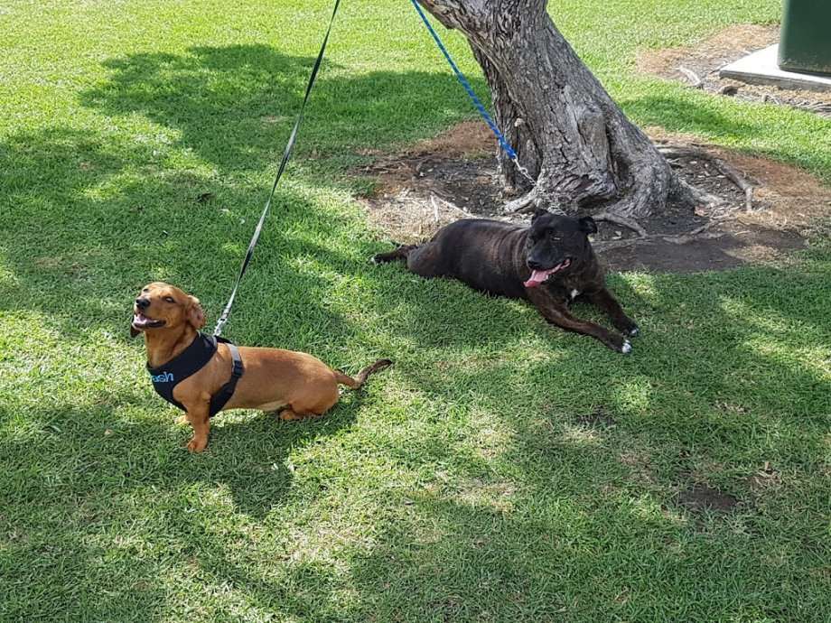 King George V Playground - Foto 6