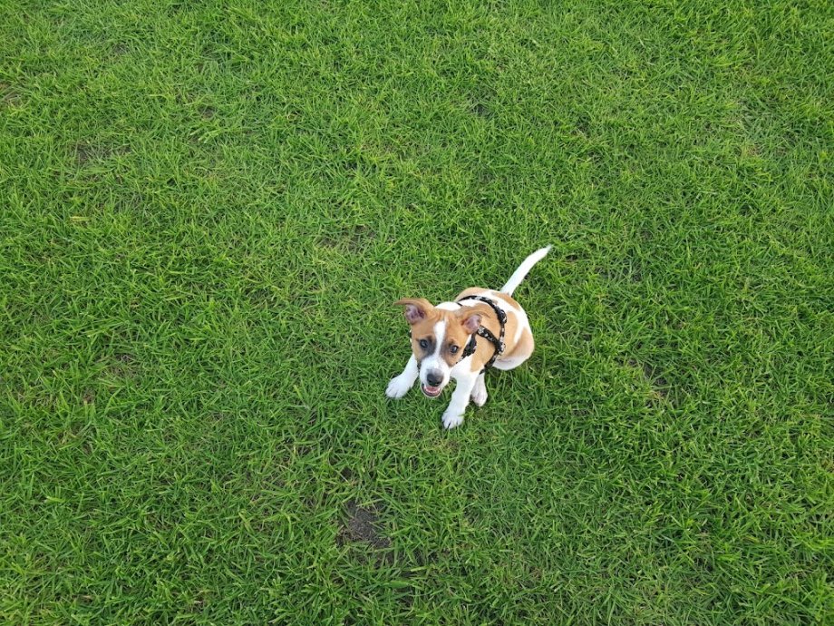 King George V Playground - Foto 7