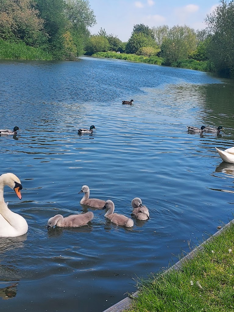 King George V Playground - Foto 3