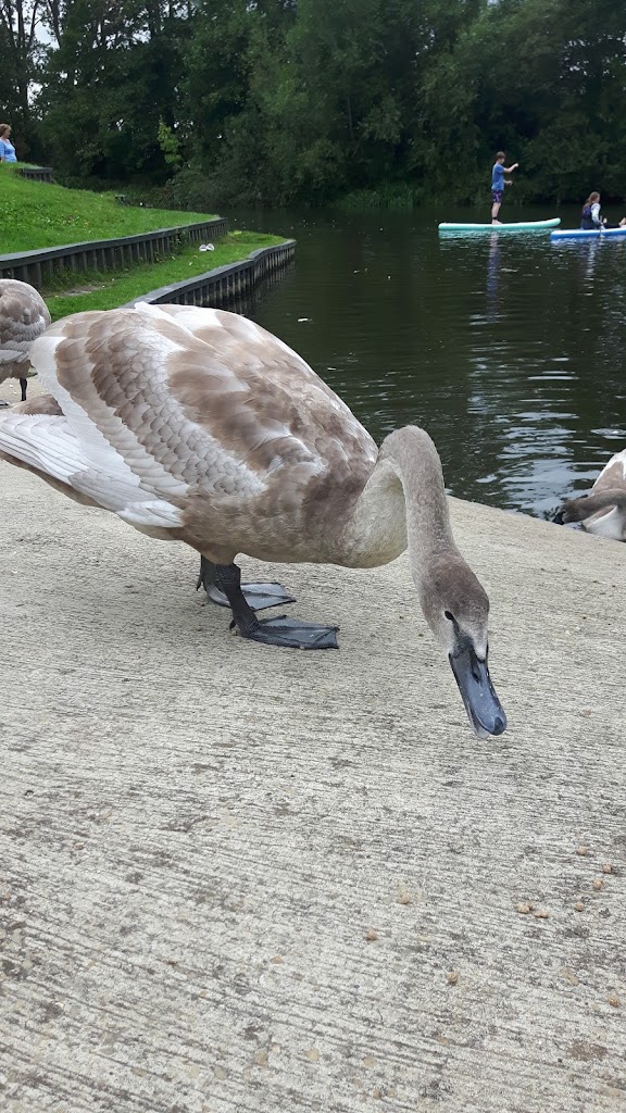 King George V Playground - Foto 5