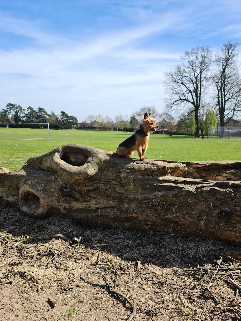King George V Playing Field - Foto 1